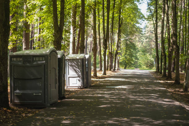 Best Porta potty rental for parties  in Wintersville, OH